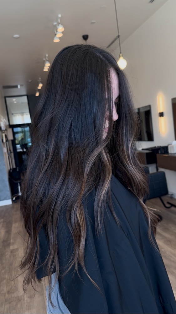 Extension & Color Consultation